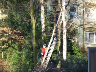 Produktabbildung: Name