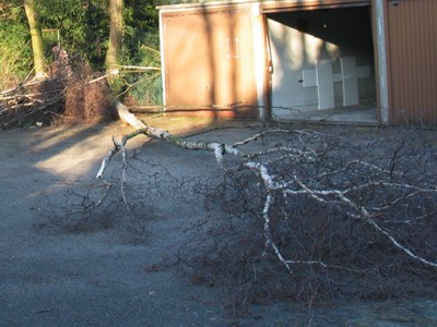 Produktabbildung: Name