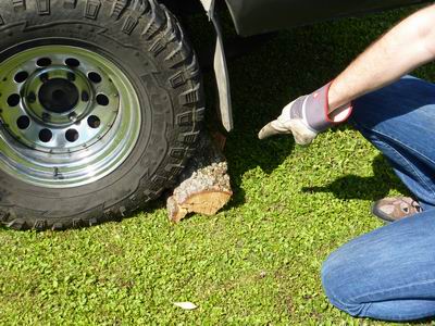 Produktabbildung: Name