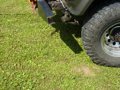 Produktabbildung: Name