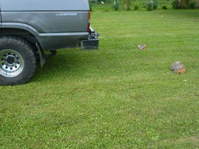 Produktabbildung: Name